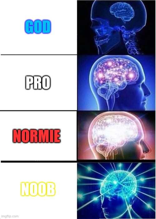 What? Ohhhhhhhhhhhhhhhhhhhhhhh! | GOD; PRO; NORMIE; NOOB | image tagged in memes,expanding brain | made w/ Imgflip meme maker