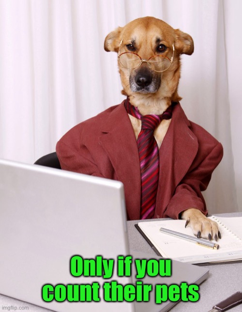 Dog Accountant | Only if you count their pets | image tagged in dog accountant | made w/ Imgflip meme maker