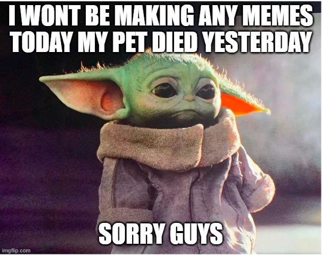 Sad Baby Yoda | I WONT BE MAKING ANY MEMES TODAY MY PET DIED YESTERDAY; SORRY GUYS | image tagged in sad baby yoda | made w/ Imgflip meme maker