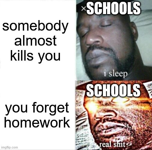 Sleeping Shaq Meme | somebody almost kills you; SCHOOLS; SCHOOLS; you forget homework | image tagged in memes,sleeping shaq | made w/ Imgflip meme maker