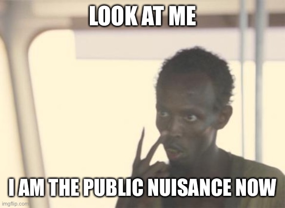 I'm The Captain Now Meme | LOOK AT ME; I AM THE PUBLIC NUISANCE NOW | image tagged in memes,i'm the captain now | made w/ Imgflip meme maker