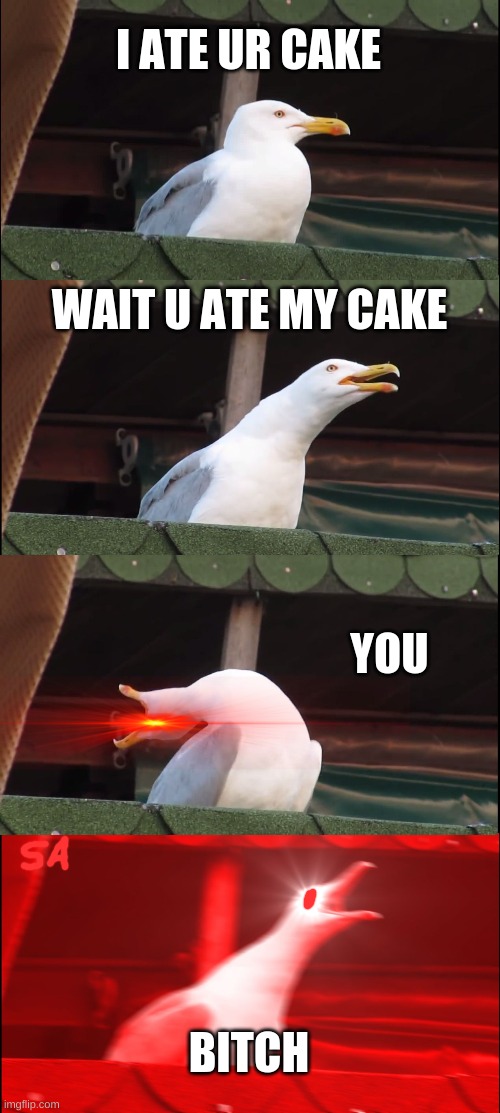 MY CAKE! | I ATE UR CAKE; WAIT U ATE MY CAKE; YOU; BITCH | image tagged in memes,inhaling seagull | made w/ Imgflip meme maker