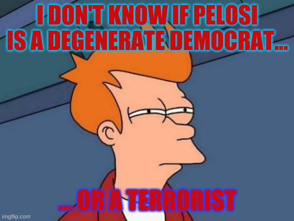 Pelosi is a terrorist | I DON'T KNOW IF PELOSI IS A DEGENERATE DEMOCRAT... ... OR A TERRORIST | image tagged in memes,futurama fry,pelosi,degenerate democrats | made w/ Imgflip meme maker
