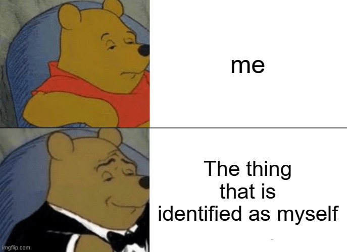 Tuxedo Winnie The Pooh | me; The thing that is identified as myself | image tagged in memes,tuxedo winnie the pooh | made w/ Imgflip meme maker