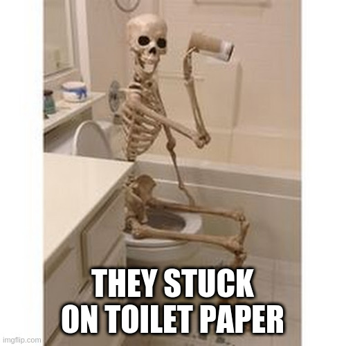 A Picture says more than thousand Words | THEY STUCK ON TOILET PAPER | image tagged in a picture says more than thousand words | made w/ Imgflip meme maker