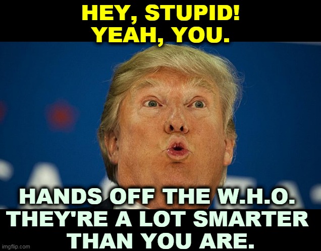 Snowflake f*cked up so he's blaming foreigners. | HEY, STUPID!
YEAH, YOU. HANDS OFF THE W.H.O. 
THEY'RE A LOT SMARTER 
THAN YOU ARE. | image tagged in trump looks up through dilated pupils,coronavirus,covid-19,smart,good | made w/ Imgflip meme maker