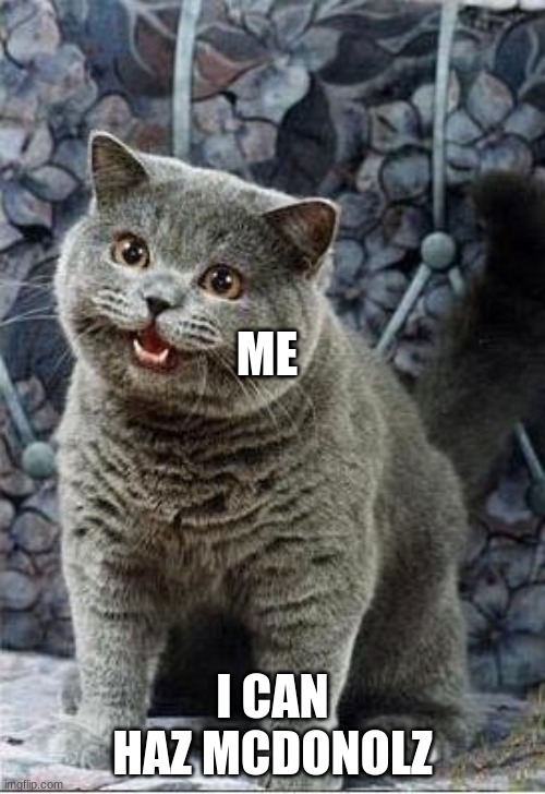 I can has cheezburger cat | ME; I CAN HAZ MCDONOLZ | image tagged in i can has cheezburger cat | made w/ Imgflip meme maker