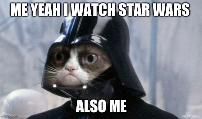 Grumpy Cat Star Wars | ME YEAH I WATCH STAR WARS; ALSO ME | image tagged in memes,grumpy cat star wars,grumpy cat | made w/ Imgflip meme maker