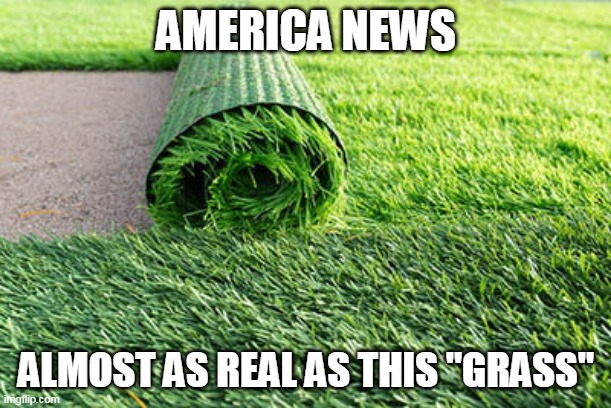 America's News | AMERICA NEWS; ALMOST AS REAL AS THIS "GRASS" | image tagged in fake news | made w/ Imgflip meme maker