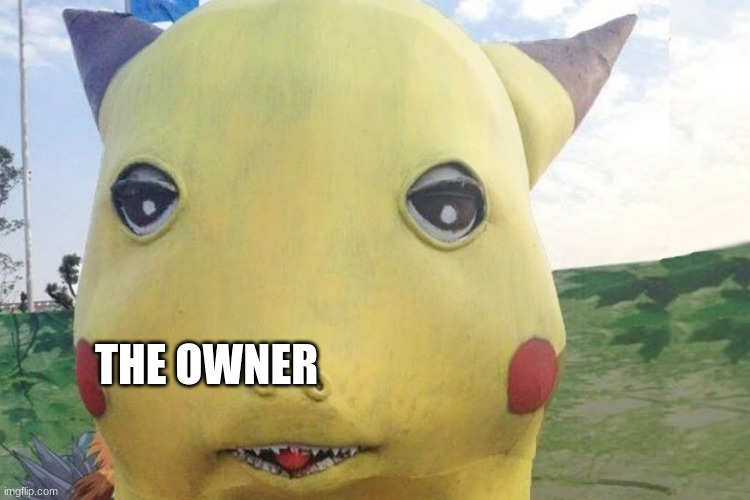 THE OWNER | made w/ Imgflip meme maker