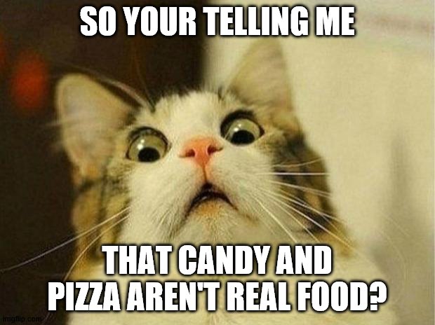 Scared Cat Meme | SO YOUR TELLING ME; THAT CANDY AND PIZZA AREN'T REAL FOOD? | image tagged in memes,scared cat | made w/ Imgflip meme maker