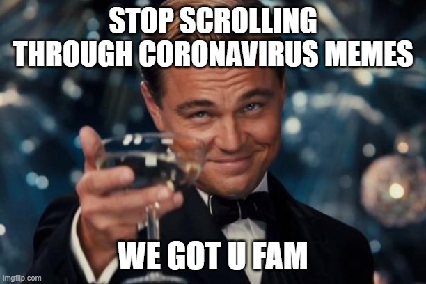 Leonardo Dicaprio Cheers | STOP SCROLLING THROUGH CORONAVIRUS MEMES; WE GOT U FAM | image tagged in memes,leonardo dicaprio cheers | made w/ Imgflip meme maker