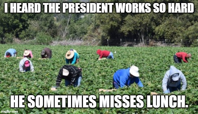 Presidential work | I HEARD THE PRESIDENT WORKS SO HARD; HE SOMETIMES MISSES LUNCH. | image tagged in trump | made w/ Imgflip meme maker