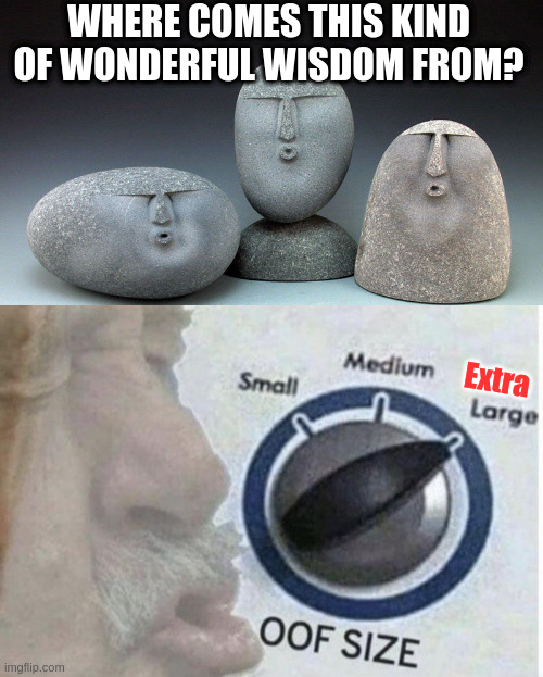 WHERE COMES THIS KIND OF WONDERFUL WISDOM FROM? Extra | image tagged in oof size large,oof stones | made w/ Imgflip meme maker