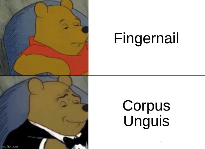 Tuxedo Winnie The Pooh Meme | Fingernail; Corpus Unguis | image tagged in memes,tuxedo winnie the pooh,fingernail,no hands | made w/ Imgflip meme maker