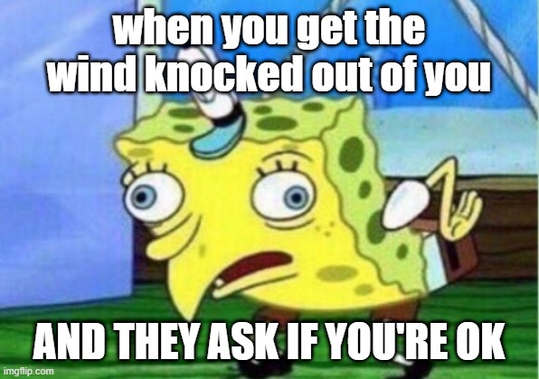 Mocking Spongebob Meme | when you get the wind knocked out of you; AND THEY ASK IF YOU'RE OK | image tagged in memes,mocking spongebob | made w/ Imgflip meme maker