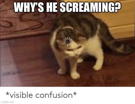 visible confusion | WHY’S HE SCREAMING? | image tagged in visible confusion | made w/ Imgflip meme maker