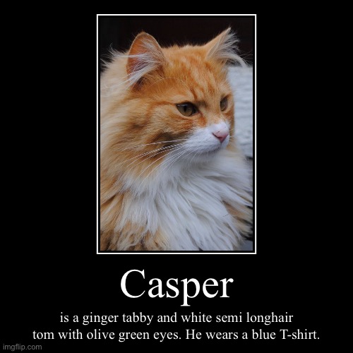 Casper’s Description | image tagged in funny,demotivationals,cats,grey and ash | made w/ Imgflip demotivational maker