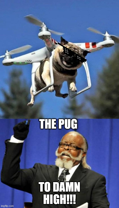THE PUG; TO DAMN HIGH!!! | image tagged in memes,too damn high,flying pug | made w/ Imgflip meme maker