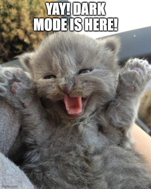 You can now toggle dark mode! | YAY! DARK MODE IS HERE! | image tagged in yay kitty,funny,memes,dark,imgflip,news | made w/ Imgflip meme maker