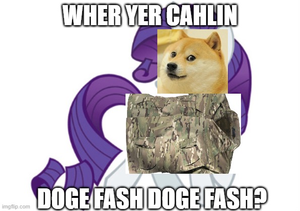 Rarity Meme | WHER YER CAHLIN DOGE FASH DOGE FASH? | image tagged in memes,rarity | made w/ Imgflip meme maker