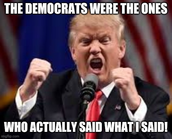Trump angry punch | THE DEMOCRATS WERE THE ONES WHO ACTUALLY SAID WHAT I SAID! | image tagged in trump angry punch | made w/ Imgflip meme maker