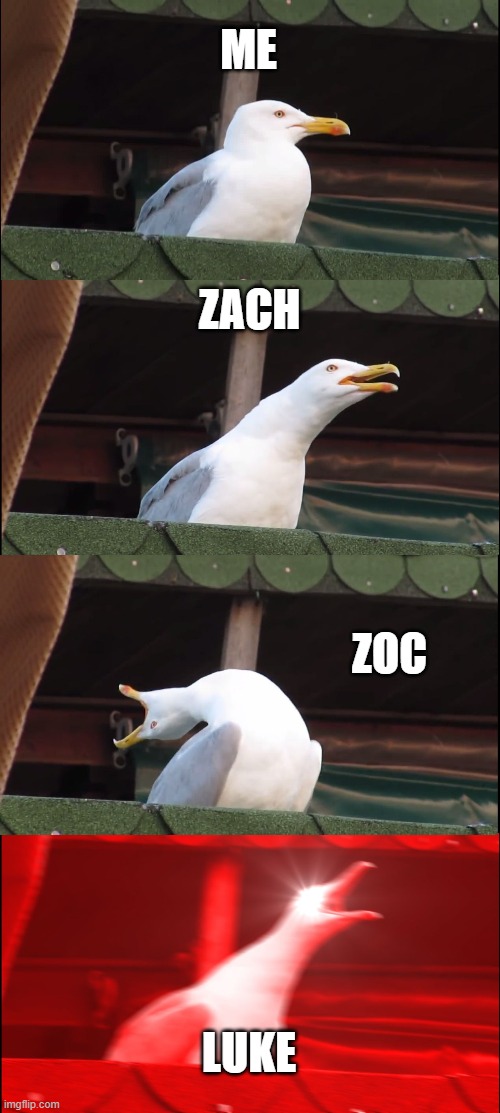 Inhaling Seagull | ME; ZACH; ZOC; LUKE | image tagged in memes,inhaling seagull | made w/ Imgflip meme maker
