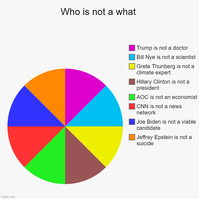 Who is not a what | Jeffrey Epstein is not a suicide, Joe Biden is not a viable candidate, CNN is not a news network, AOC is not an economis | image tagged in charts,pie charts | made w/ Imgflip chart maker