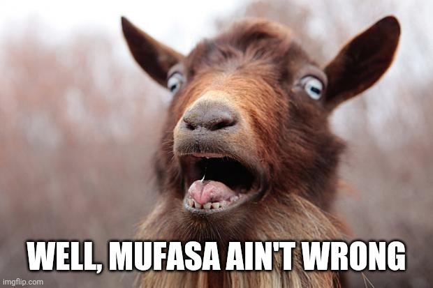 GoatScream2014 | WELL, MUFASA AIN'T WRONG | image tagged in goatscream2014 | made w/ Imgflip meme maker