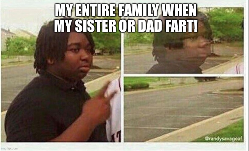 Black guy disappearing | MY ENTIRE FAMILY WHEN MY SISTER OR DAD FART! | image tagged in black guy disappearing | made w/ Imgflip meme maker