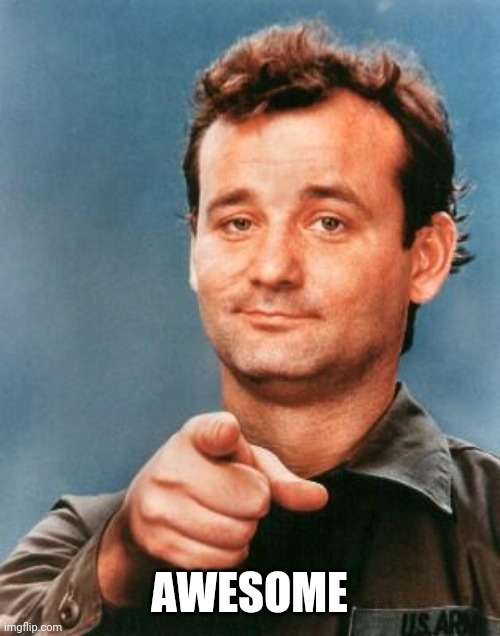 Bill Murray You're Awesome | AWESOME | image tagged in bill murray you're awesome | made w/ Imgflip meme maker