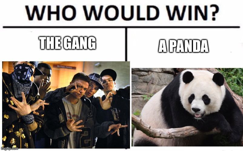 THE GANG; A PANDA | made w/ Imgflip meme maker