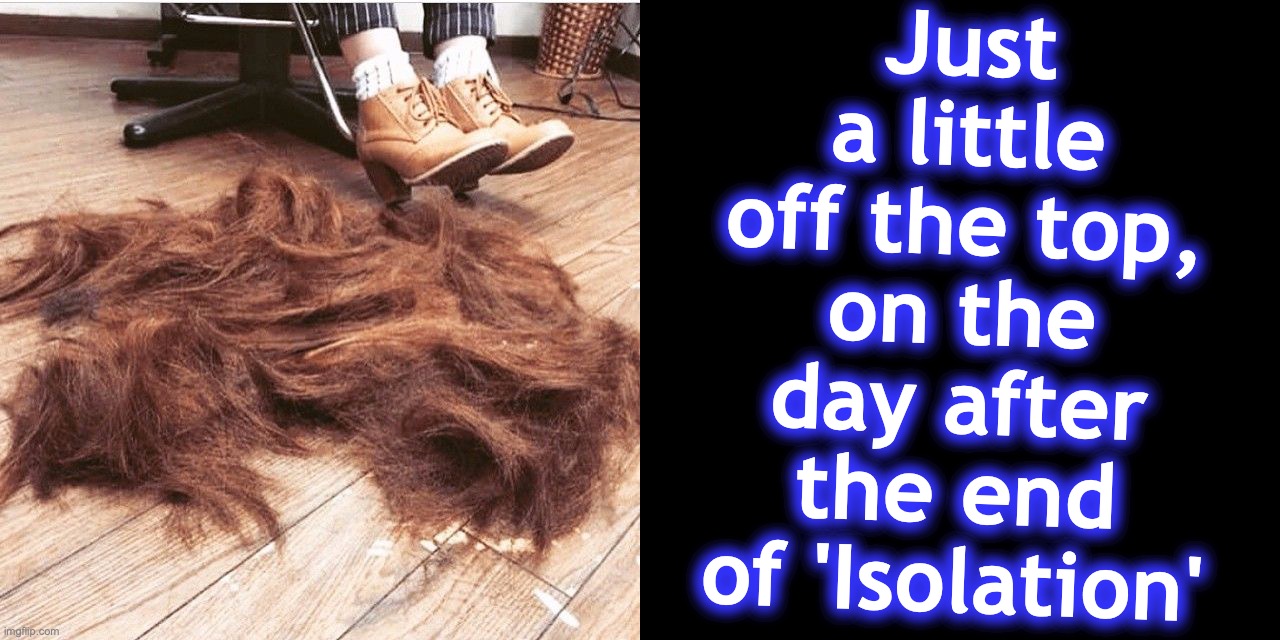 Just a little off the top, on the day after the end of 'Isolation' | image tagged in haircut,covid-19,coronavirus,self isolation | made w/ Imgflip meme maker