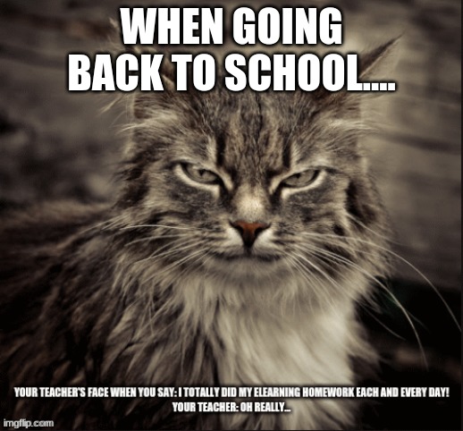 Don't lie to your teacher | WHEN GOING BACK TO SCHOOL.... | image tagged in school,teachers,lies | made w/ Imgflip meme maker