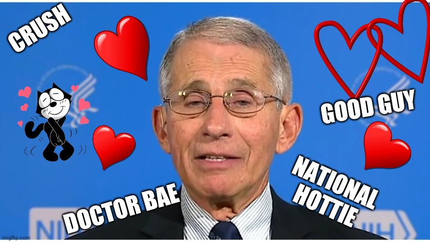 Dr Fauci | CRUSH; GOOD GUY; NATIONAL HOTTIE; DOCTOR BAE | image tagged in dr fauci | made w/ Imgflip meme maker