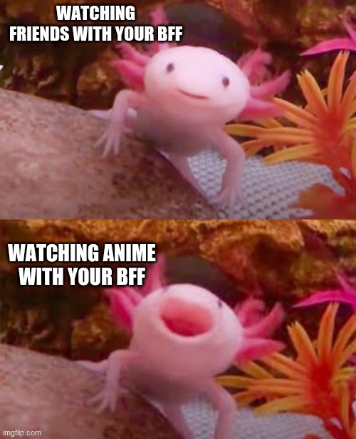 I tried making a meme with Axolotls. | WATCHING FRIENDS WITH YOUR BFF; WATCHING ANIME WITH YOUR BFF | image tagged in axolotls,anime meme,best friend | made w/ Imgflip meme maker