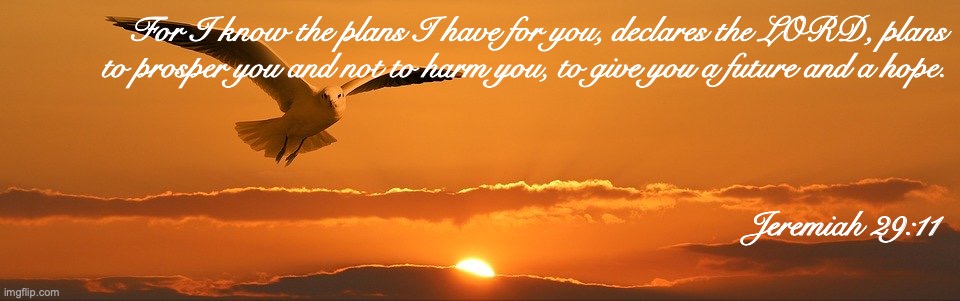 Hope For Tomorrow | For I know the plans I have for you, declares the LORD, plans to prosper you and not to harm you, to give you a future and a hope. Jeremiah 29:11 | image tagged in glory,heavenly,future,destiny,savior | made w/ Imgflip meme maker