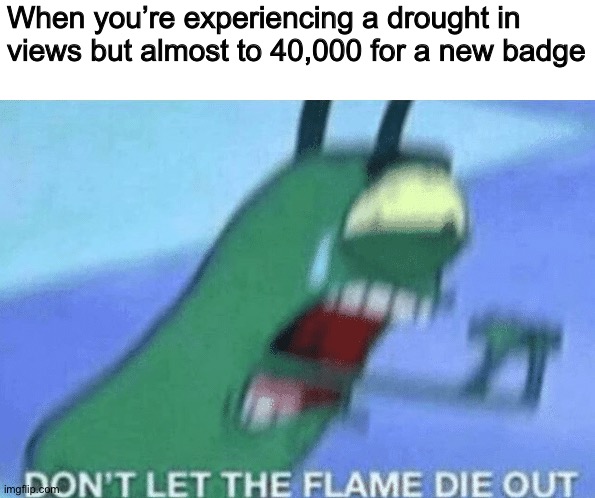 DON’T LET THE FLAME DIE OUT | When you’re experiencing a drought in views but almost to 40,000 for a new badge | image tagged in dont let the flame die out,memes,imgflip | made w/ Imgflip meme maker