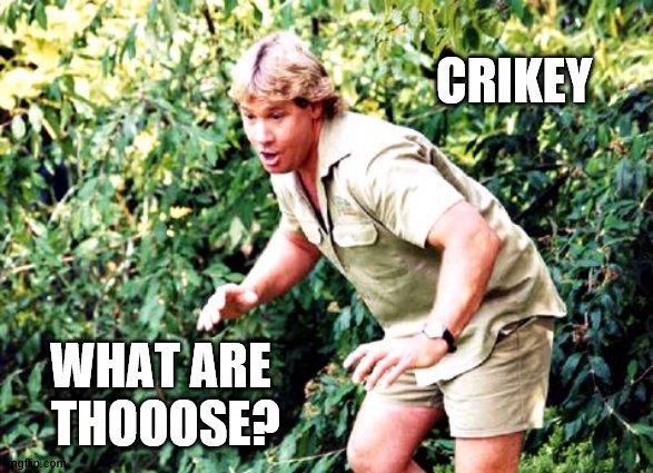 Crocodile Hunter Steve Irwin | CRIKEY WHAT ARE 
THOOOSE? | image tagged in crocodile hunter steve irwin | made w/ Imgflip meme maker