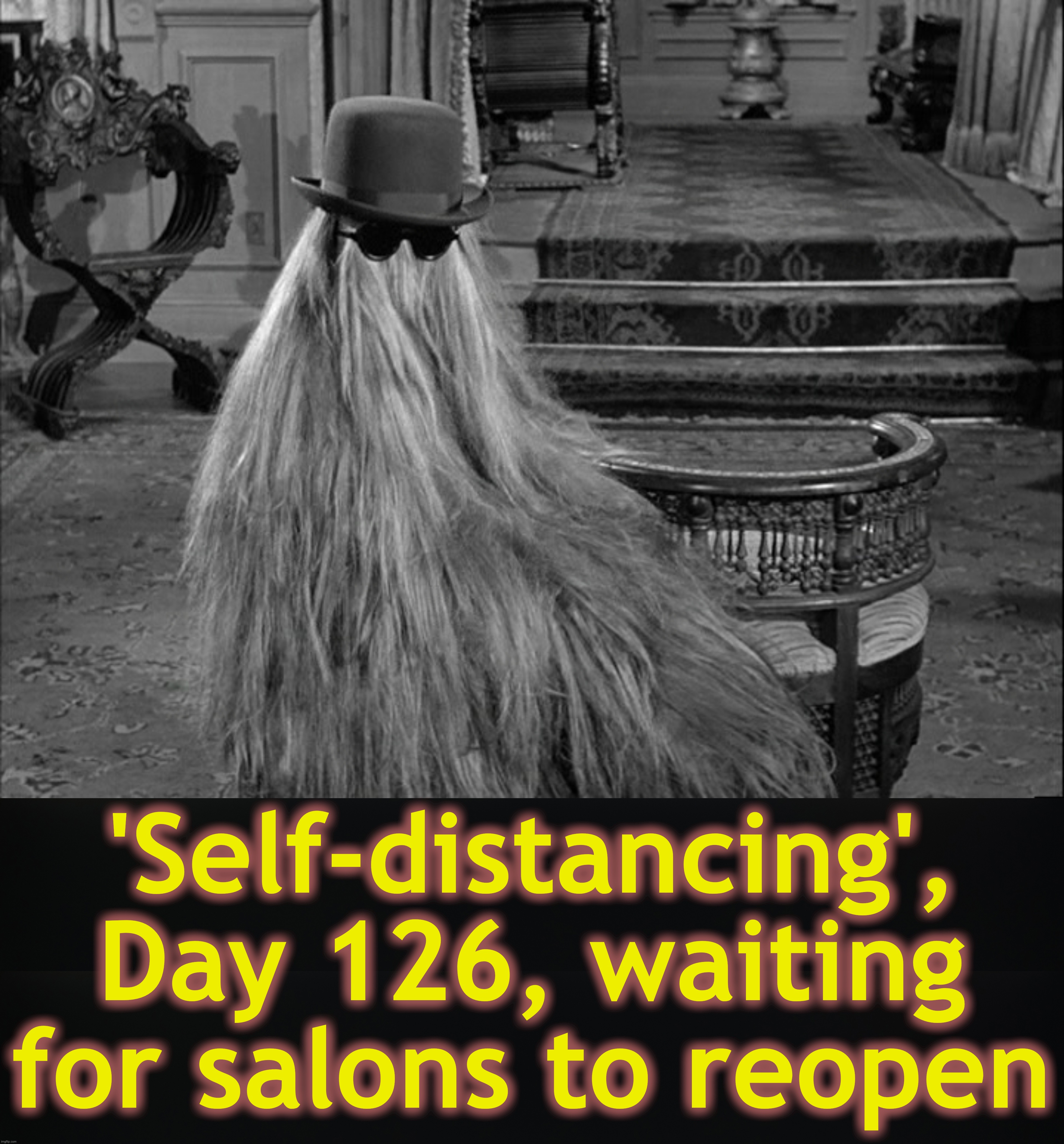 using a lot of conditioner lately | 'Self-distancing', Day 126, waiting for salons to reopen | image tagged in covid19,haircut,coronavirus,isolation,lockdown,shutdown | made w/ Imgflip meme maker