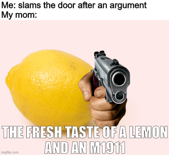New meme format | Me: slams the door after an argument
My mom:; THE FRESH TASTE OF A LEMON
AND AN M1911 | image tagged in parents,lemon,gun,cursed,argument,memes | made w/ Imgflip meme maker