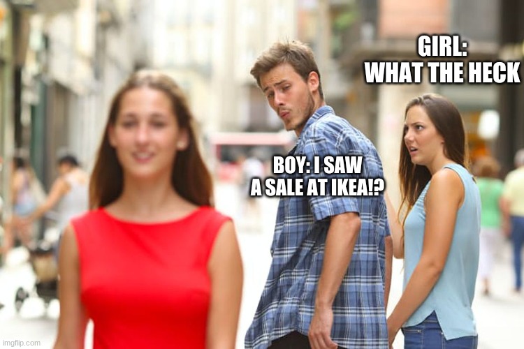 girl confusion | GIRL: WHAT THE HECK; BOY: I SAW A SALE AT IKEA!? | image tagged in memes,distracted boyfriend | made w/ Imgflip meme maker