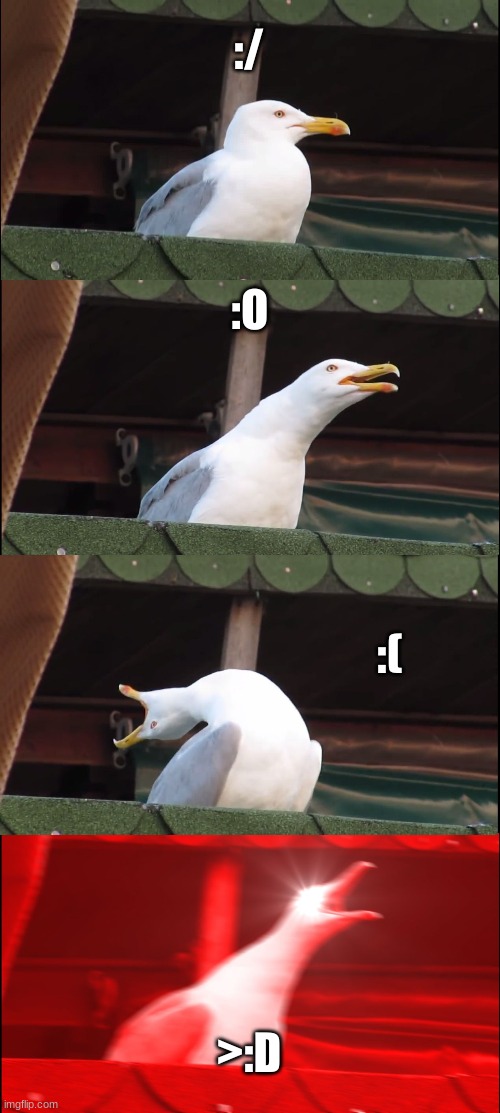 emoticon levels | :/; :O; :(; >:D | image tagged in memes,inhaling seagull | made w/ Imgflip meme maker