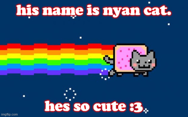 cute cat | his name is nyan cat. hes so cute :3 | image tagged in nyan cat | made w/ Imgflip meme maker