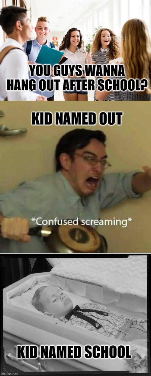 I mean.......... | YOU GUYS WANNA HANG OUT AFTER SCHOOL? KID NAMED OUT; KID NAMED SCHOOL | image tagged in confused screaming | made w/ Imgflip meme maker