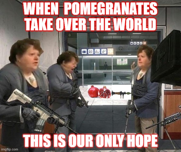 No Pomegranates Blank Template Imgflip