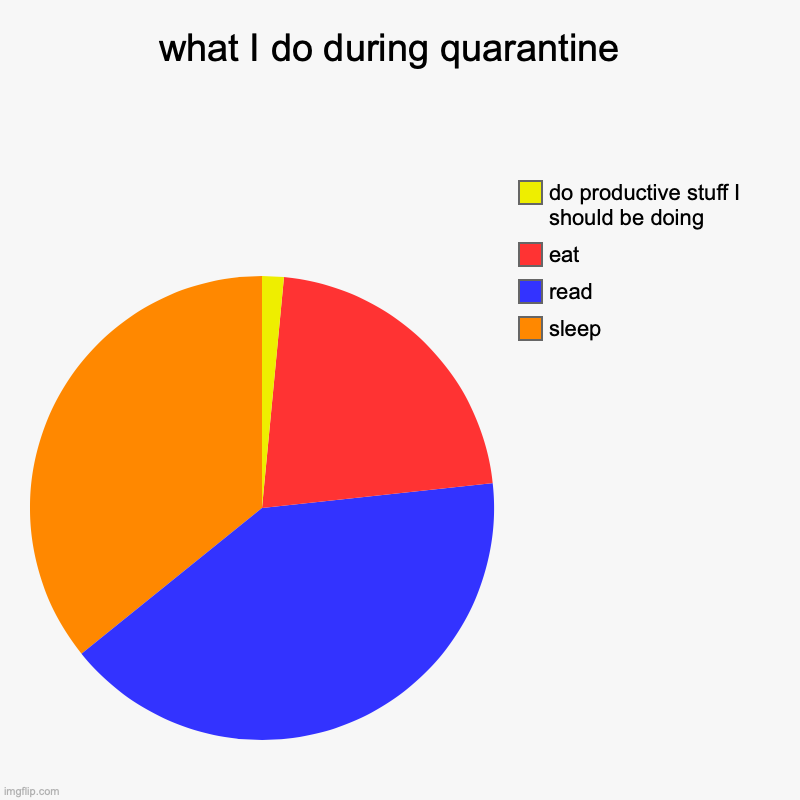 what I do during quarantine  | sleep, read, eat, do productive stuff I should be doing | image tagged in charts,pie charts | made w/ Imgflip chart maker