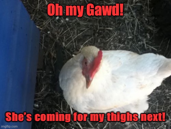 Angry Chicken Boss Meme | Oh my Gawd! She’s coming for my thighs next! | image tagged in memes,angry chicken boss | made w/ Imgflip meme maker