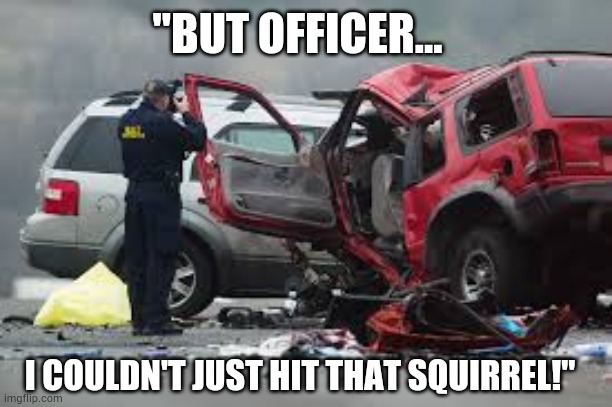 Just hit it! | "BUT OFFICER... I COULDN'T JUST HIT THAT SQUIRREL!" | image tagged in car,crash,funny,silly,witty | made w/ Imgflip meme maker