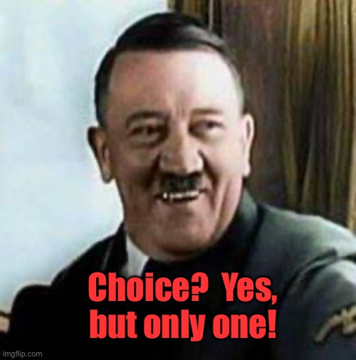 laughing hitler | Choice?  Yes, but only one! | image tagged in laughing hitler | made w/ Imgflip meme maker